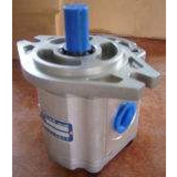 QT2323-6.3-6.3MN-S1162-A Pompe à engrenages hydraulique